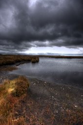 Irisches Hochmoor